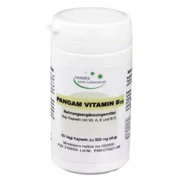 PANGAM Capsules de vitamine B15, 60 |2| pièces |2|