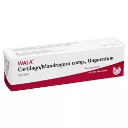 CARTILAGO/Mandragore comp Unguentum, 30 g