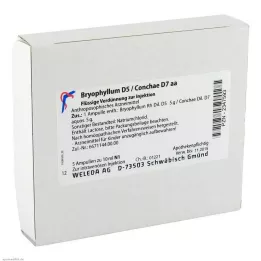 BRYOPHYLLUM d 5 / conchae d 7 ampoules, 5x10 ml