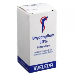 BRYOPHYLLUM Poudre à 50 % pour usage oral, 20 g