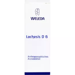 Lachèse D6, 50 ml
