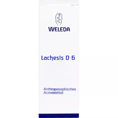 Lachèse D6, 50 ml