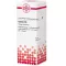 Cactus D10, 20 ml