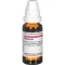 RUMEX Dilution D4, 20 ml