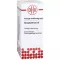 Strophylyhus d 8, 20 ml