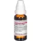 VIPERA BERUS Dilution D 12, 20 ml