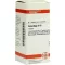 CIMICIFUGA D10, 80 pc
