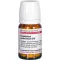 Eupatorium perf d10, 80 pc