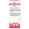 PHOSPHORUS AMORPHUS D 8 comprimés, 80 pc