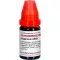 HYPERICUM LM XII Globules, 5 g