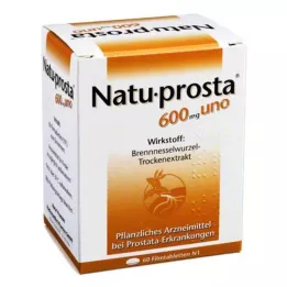 NATUPROSTA Comprimés pelliculés uno à 600 mg, 60 pcs