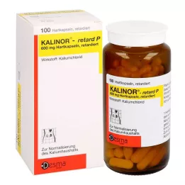 KALINOR retard P 600 mg gélules dures, 100 pcs