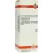 HYPERICUM D 6 Dilution, 50 ml