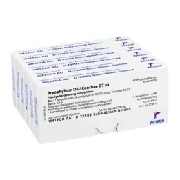 BRYOPHYLLUM Ampoules D 5/Conchae D 7, 48X1 ml