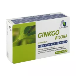 GINKGO Gélules de 100 mg + B1 + C + E, 48 pièces