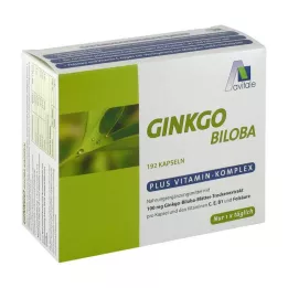 GINKGO Gélules de 100 mg + B1 + C + E, 192 pièces