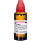 RUTA EXTERN Extrait, 50 ml