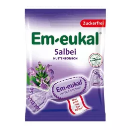 EM-EUKAL Bonbons à la sauge sans sucre, 75 g