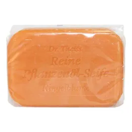 Savon Dr.theiss Souci (100 g)