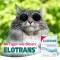ELOTRANS Poudre, 10 pièces