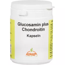 GLUCOSAMIN+CHONDROITIN Kapseln, 120 pc