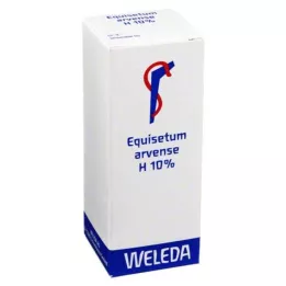 EQUISETUM ARVENSE H 10% huileux à frictionner, 50 ml