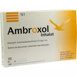 AMBROXOL Solution dinhalat pour un nébuliseur, 20x2 ml