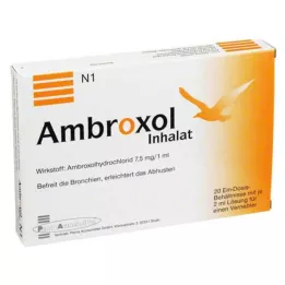 AMBROXOL Solution pour inhalation pour nébuliseur, 20X2 ml