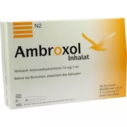 AMBROXOL Solution dinhalat pour un nébuliseur, 50x2 ml