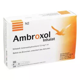 AMBROXOL Solution pour inhalation pour nébuliseur, 50X2 ml
