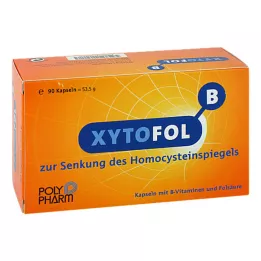 XYTO Gélules Fol B, 90 pc