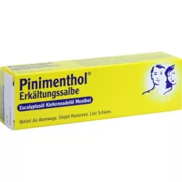 PINIMENTHOL Cold pommade eucal./kiefern./Mmenth., 20 g