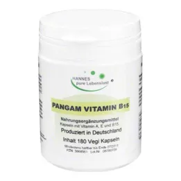 PANGAM Capsules végétales de vitamine B15, 180 pièces