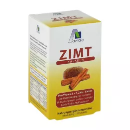ZIMT KAPSELN 500 mg + vitamine C + E, 120 pièces