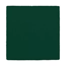 MULLKOMPRESSEN 10x10 cm 12 plis vert, 100 pièces