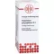 GNAPHALIUM POLYCEPHALUM Dilution D3, 50 ml