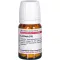 Lachèse D15, 80 pc