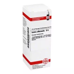 SALVIA OFFICINALIS Dilution D 6, 20 ml
