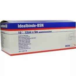 IDEALBINDE bmp 12 cm x 5 m, 10 pièces