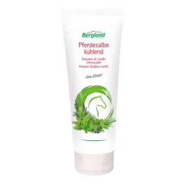 Pommade rafraîchissante pour chevaux (100 ml)