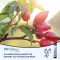 CH ALPHA Ampoules à boire Plus, 30 pièces