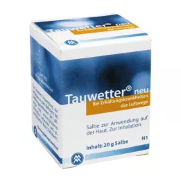 TAUWETTER SALBE Nouveau, 20g