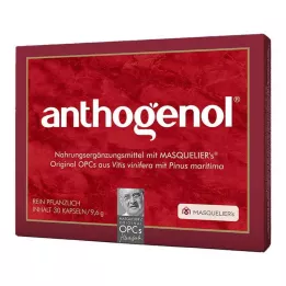 ANTHOGENOL Masquelier OPC gélules, 30 pièces
