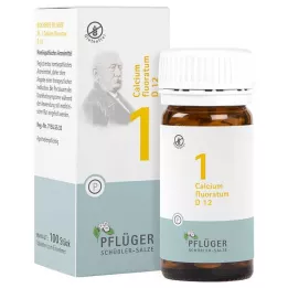 BIOCHEMIE Pflüger 1 Calcium fluoratum D 12 Comprimé, 100 St