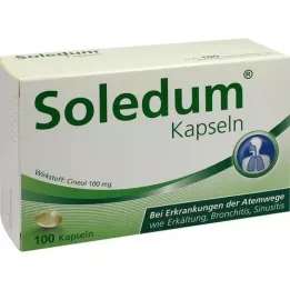 SOLEDUM 100 mg de capsules résistants gastriques, 100 pc