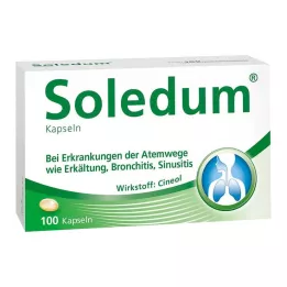 SOLEDUM Gélules gastro-résistantes à 100 mg, 100 pièces