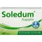 SOLEDUM 100 mg de capsules résistants gastriques, 100 pc