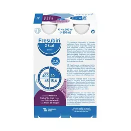FRESUBIN PROTEIN Énergie DRINK Walderdbe.Trinkfl. 6x4x200 ml
