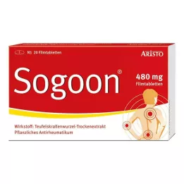 SOGOON Comprimés pelliculés à 480 mg, 20 pièces