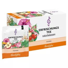ERFRISCHUNGSTEE Sacs filtrants, 20X3 g